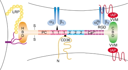 Fig. 2