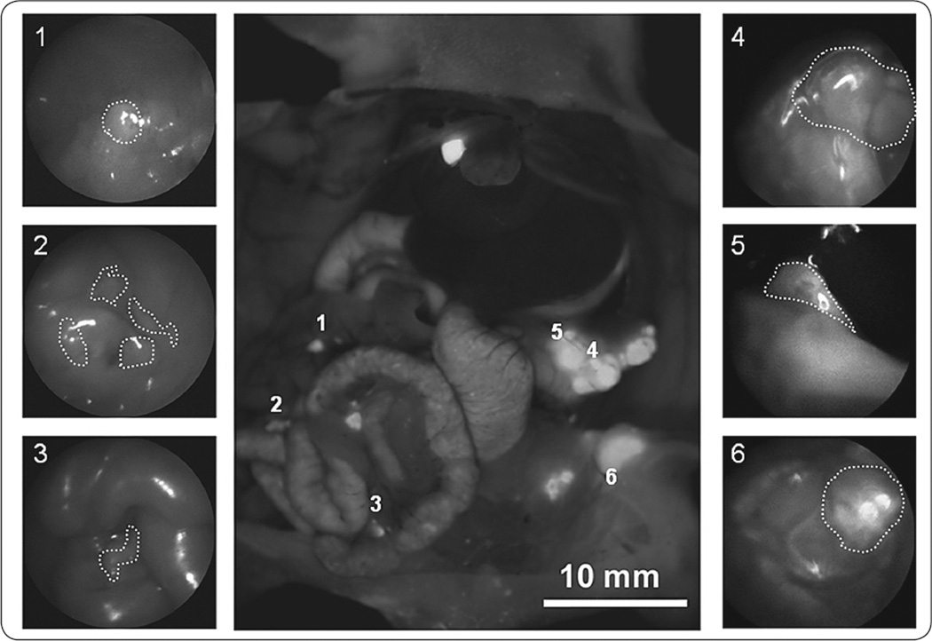 FIGURE 2