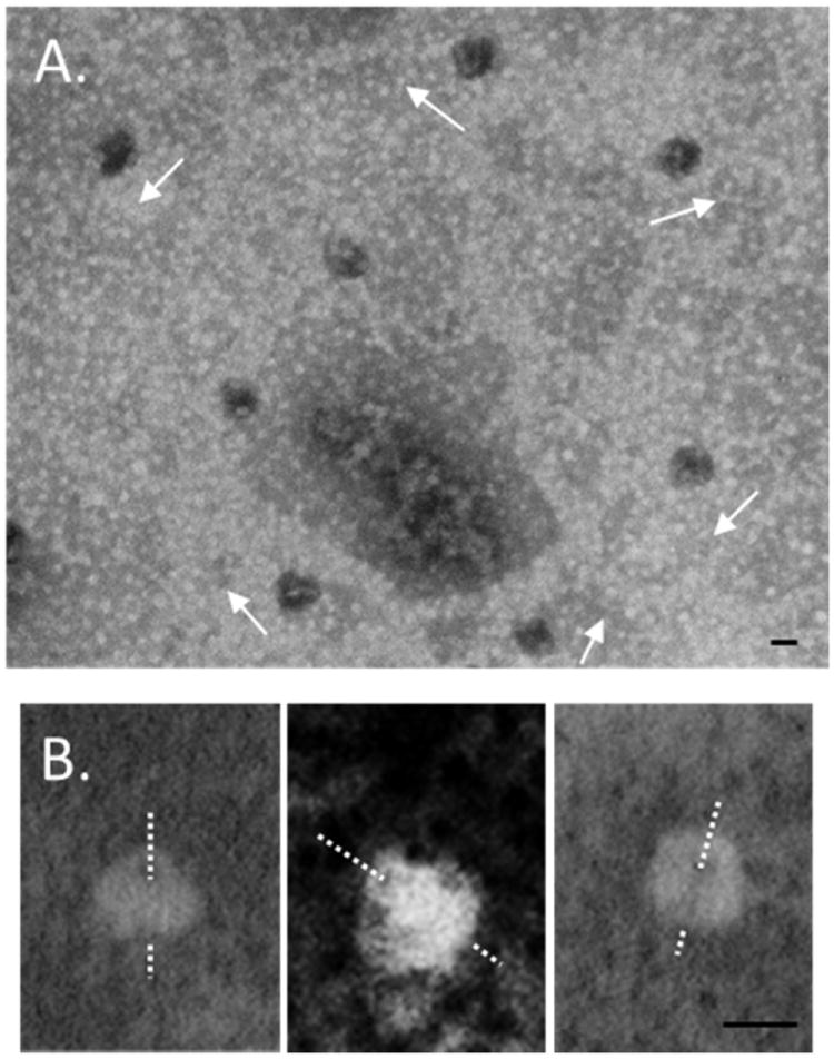 Fig. 2