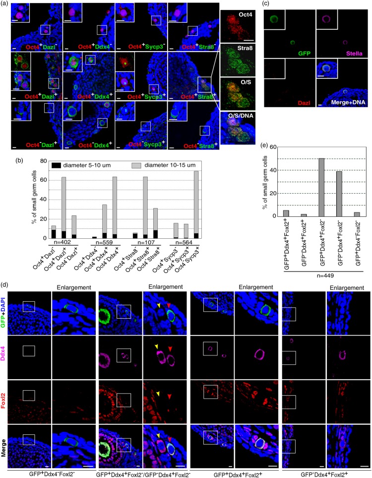 Figure 1