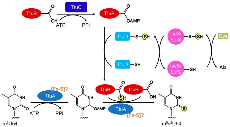 Figure 5