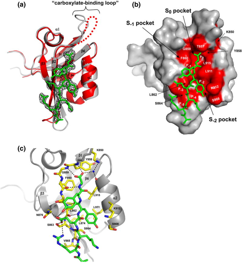 Fig.1