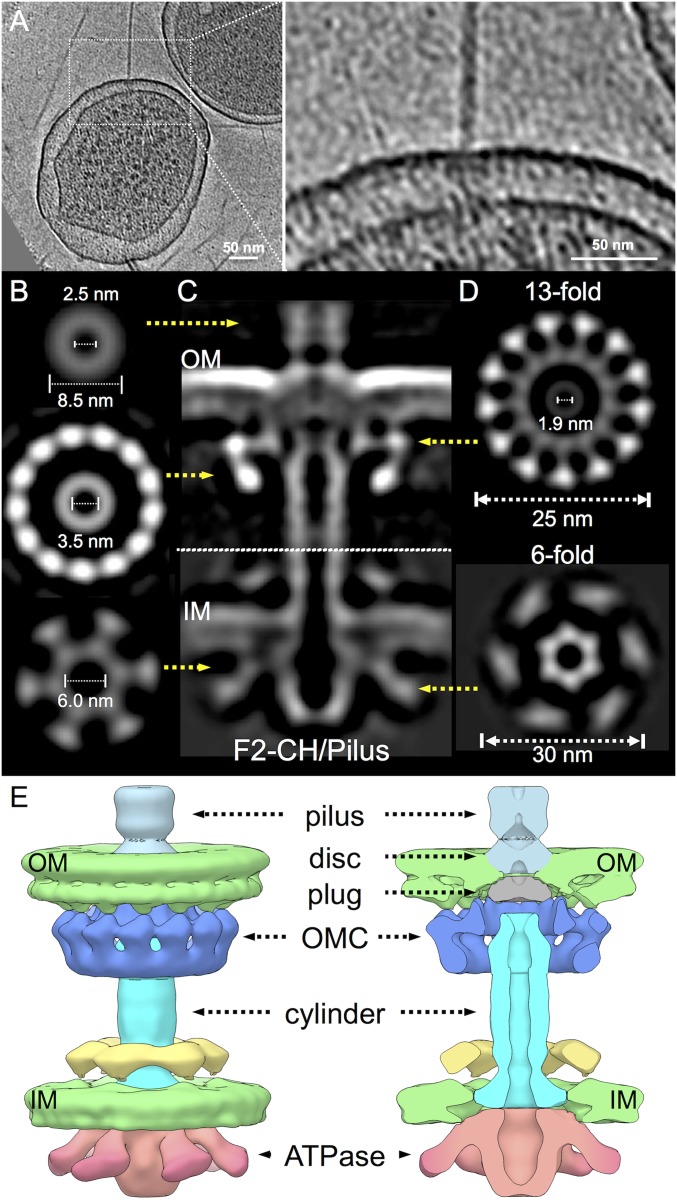 Fig. 3.