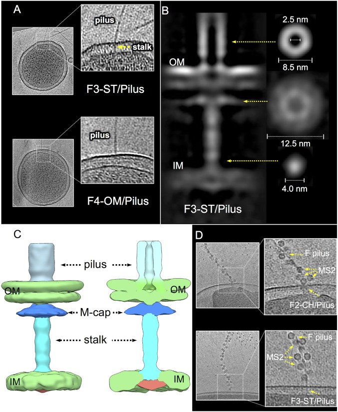 Fig. 4.