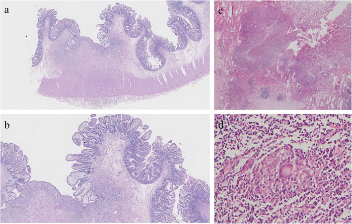 Fig. 3