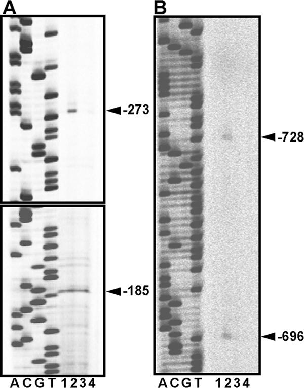 FIG. 1.