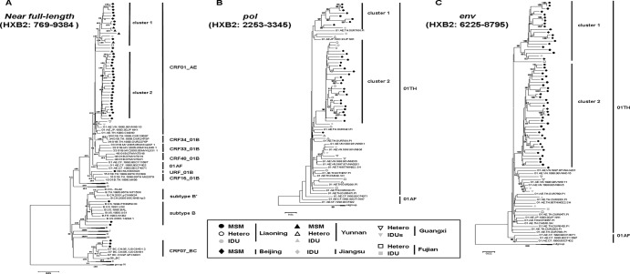 Fig 1