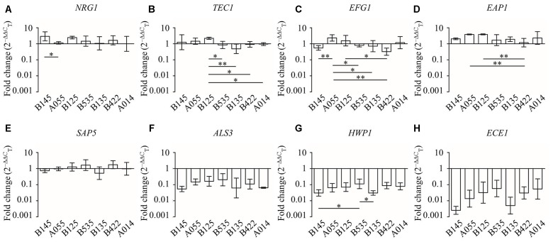 FIGURE 7