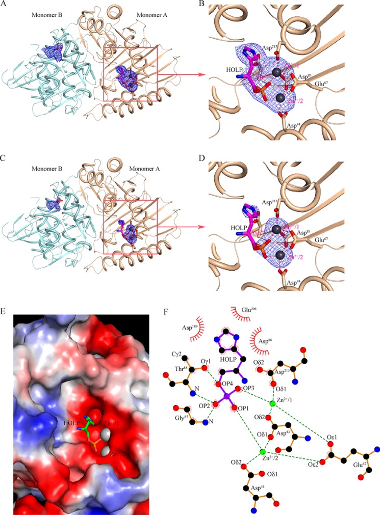 Figure 7.