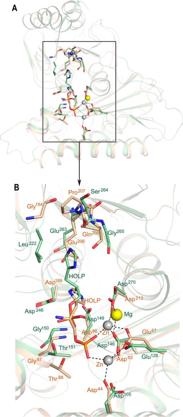 Figure 9.