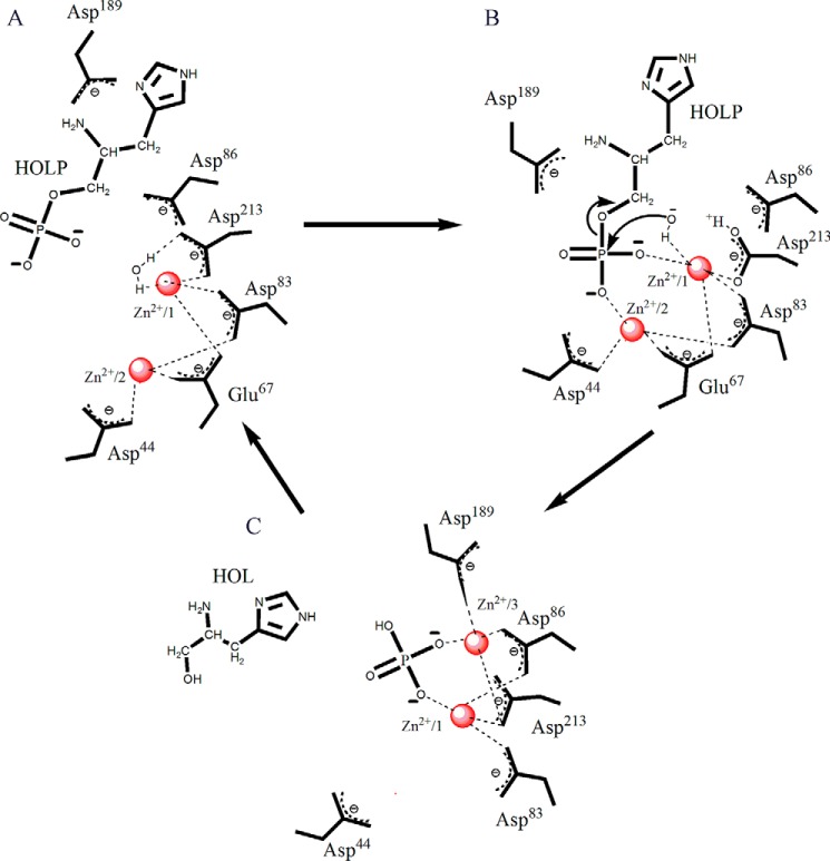 Figure 10.