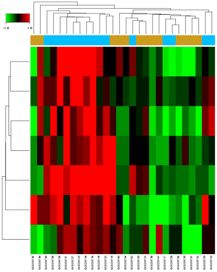 Figure 1.