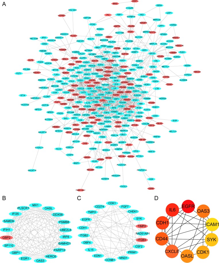 Figure 4.