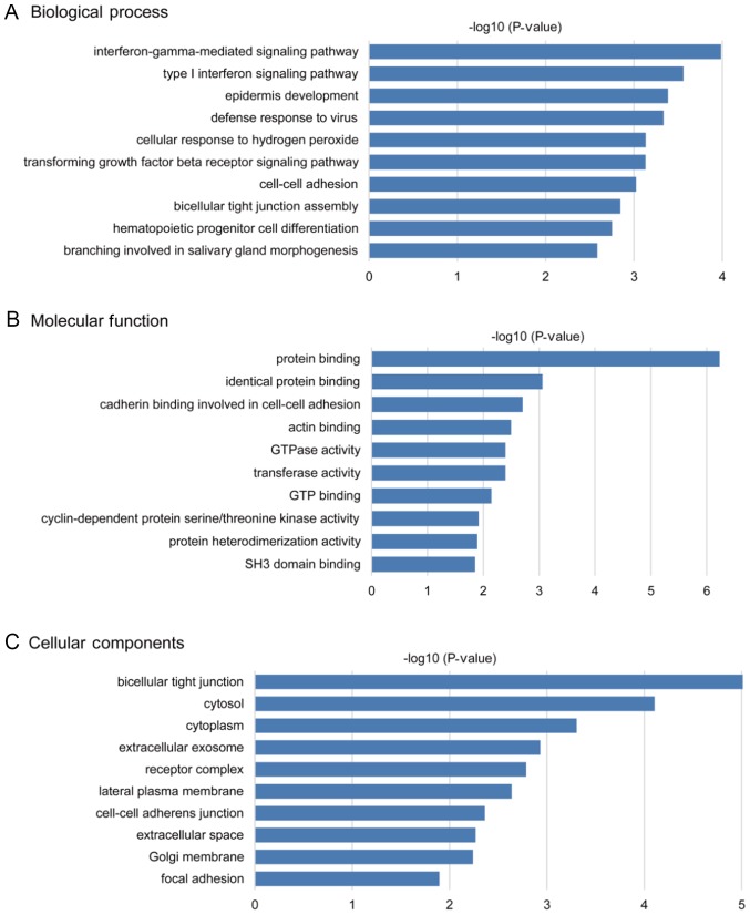 Figure 2.