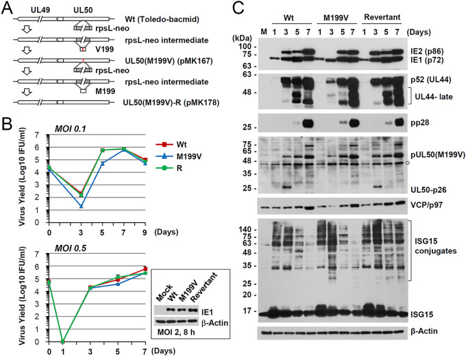 FIG 3