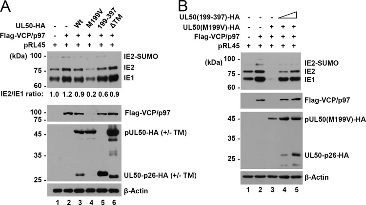 FIG 6