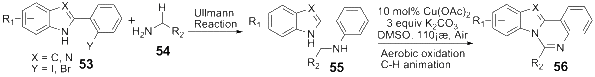 Scheme 13