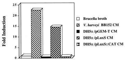 FIG. 6