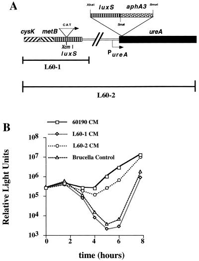 FIG. 3