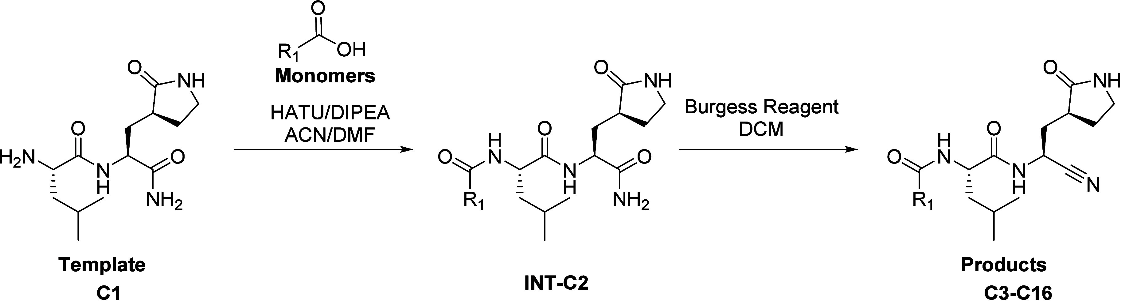 Scheme 1