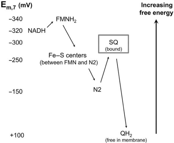 Figure 12.3