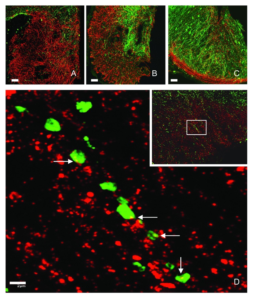 Figure 3. 