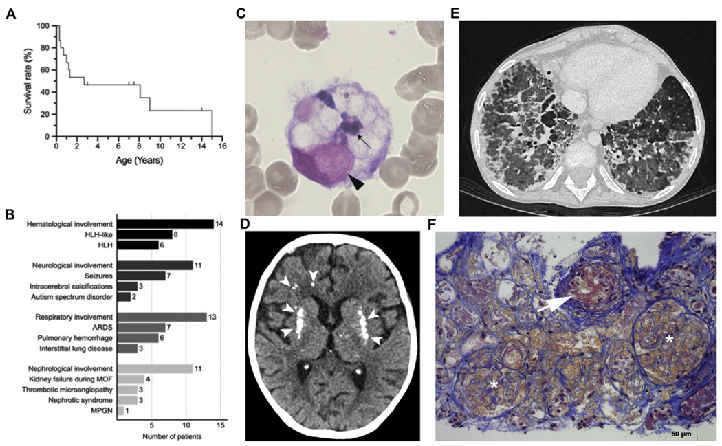 FIG 1.