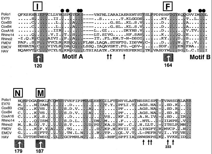 FIG. 5