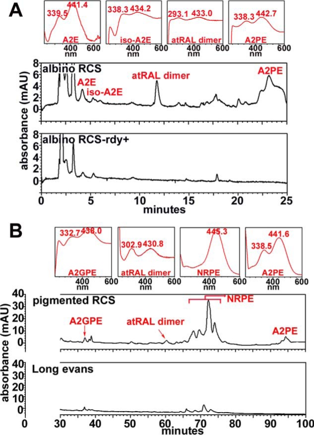 Figure 6.