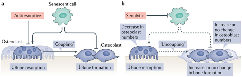 Fig. 4 ∣