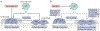 Fig. 4 ∣