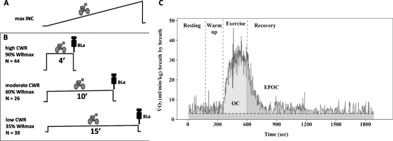 Fig. 1