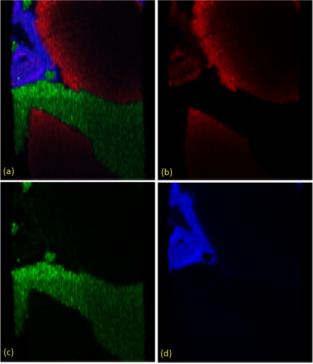 Fig. 6. RGB mixing image of the silicate sample (a). The image of 175Lu is assigned to the red channel (b), the green channel is 59Co (c), and the blue channel is 23Na (d).