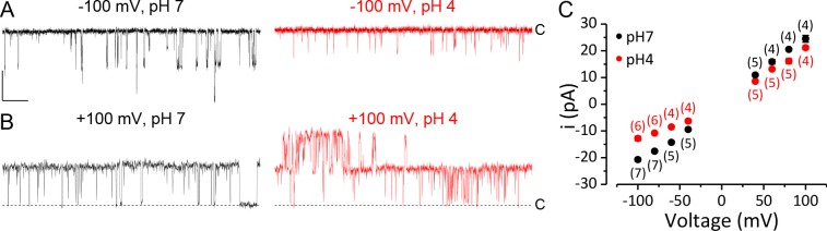 Figure 1—figure supplement 1.