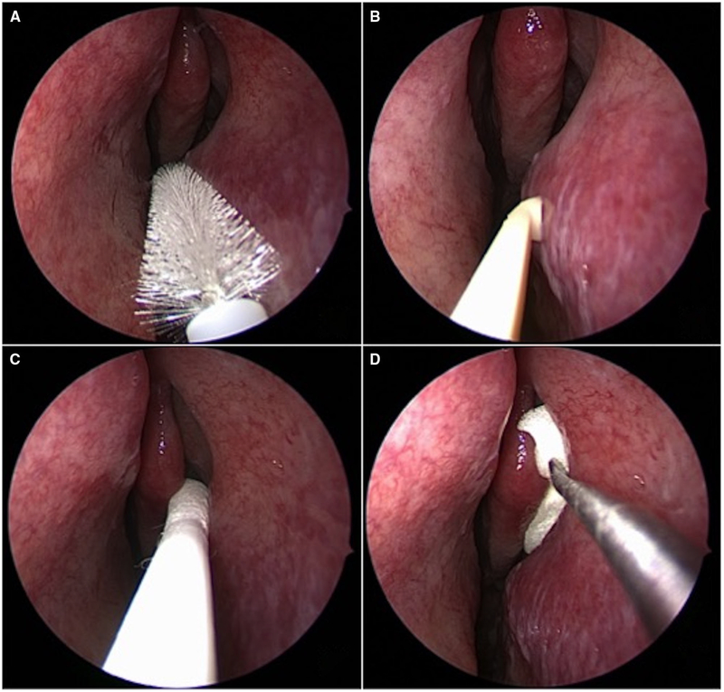 FIGURE 1.