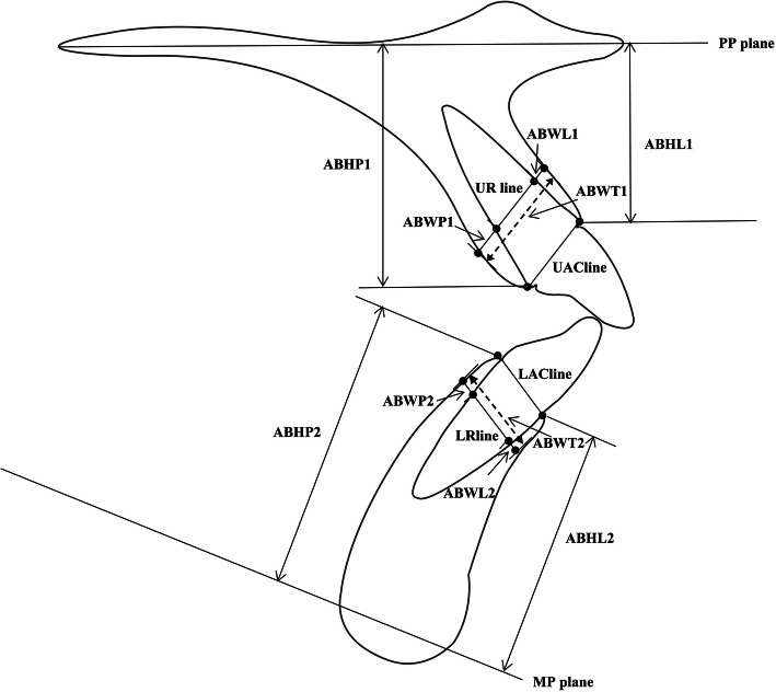 Fig. 2