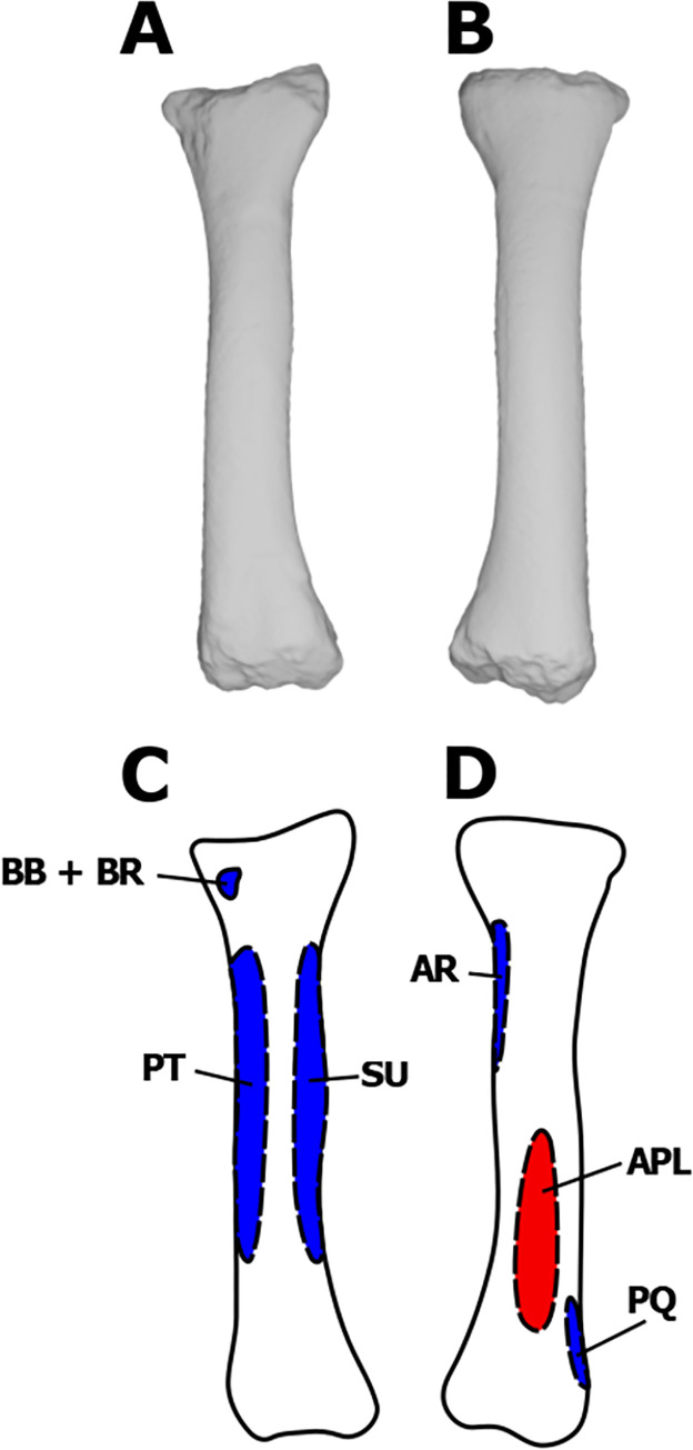 Fig 5