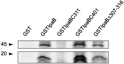 FIG. 7