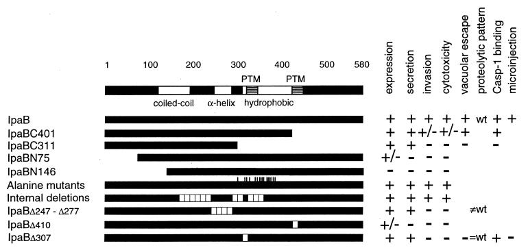 FIG. 6