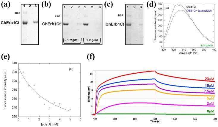 Fig 8