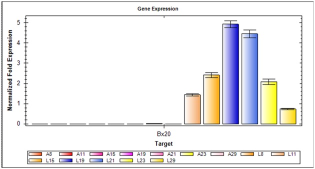 Fig 4