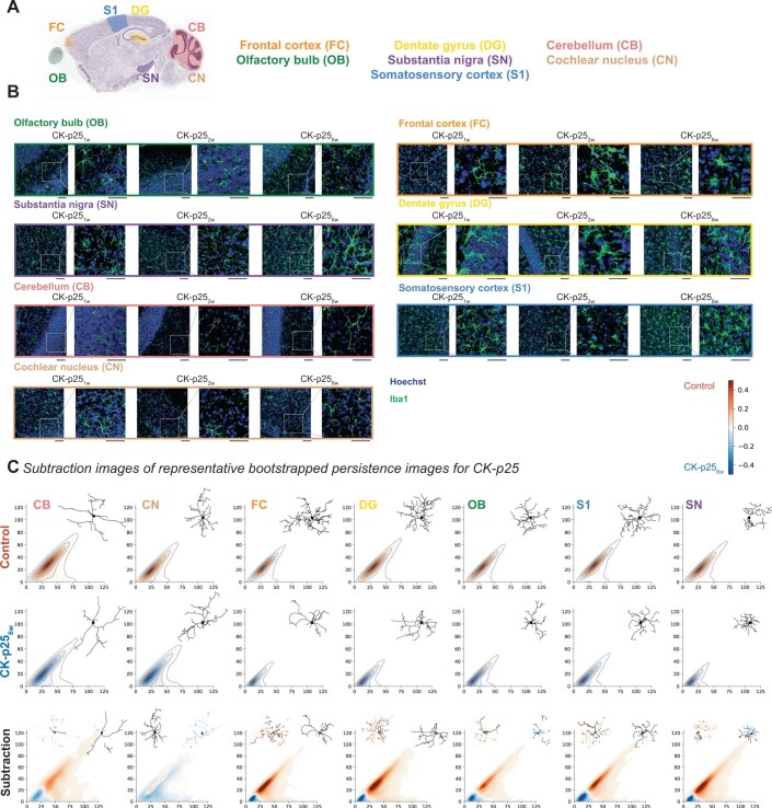 Extended Data Fig. 8