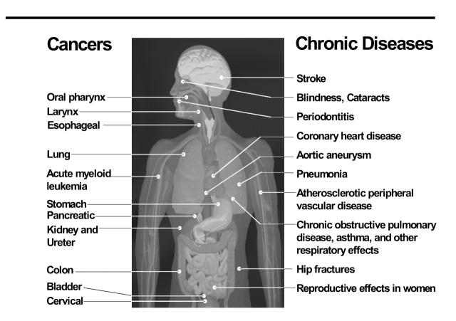 FIGURE 1—