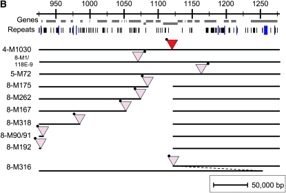 Figure 2.—