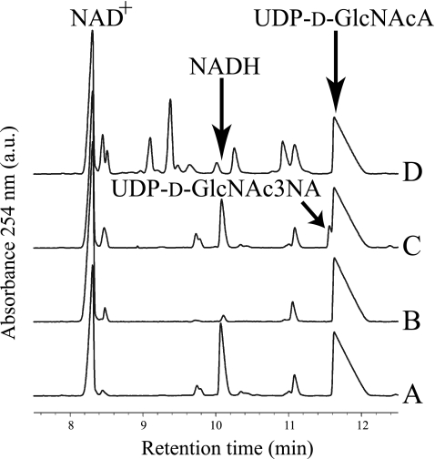 FIGURE 3.