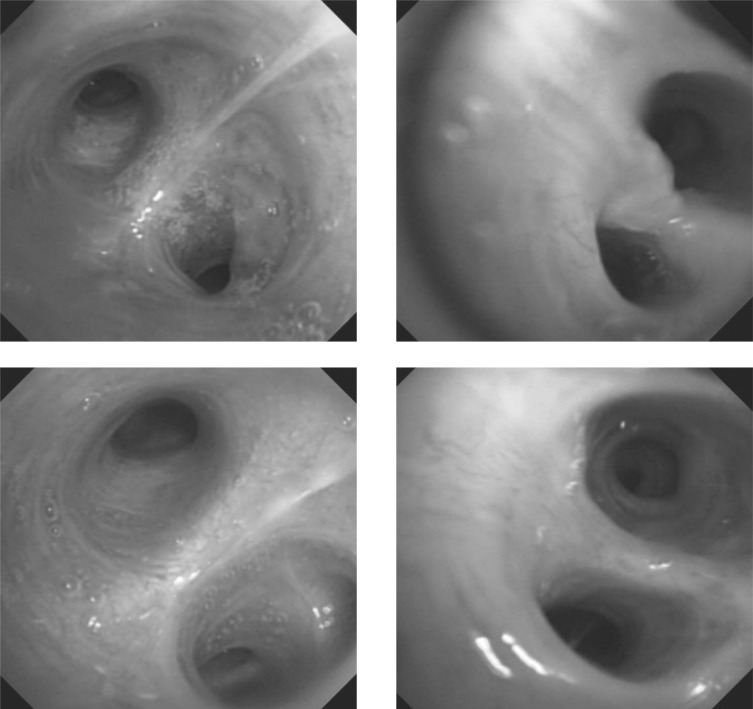 Figure 3-1: