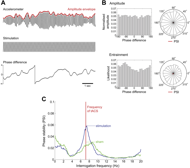 Figure 2