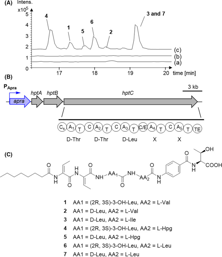 Fig. 7