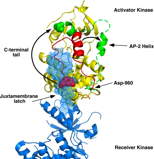 FIGURE 7.