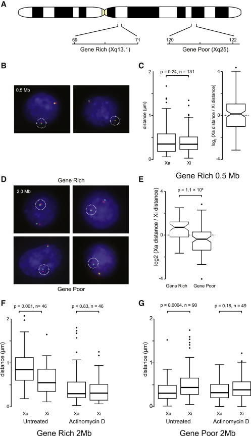 Figure 6